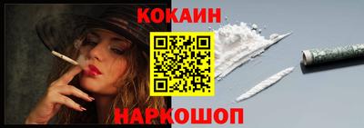 гашик Можга