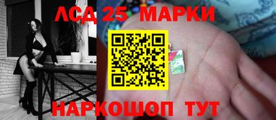 гашик Можга
