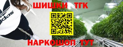 гашик Можга