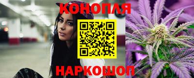 гашик Можга