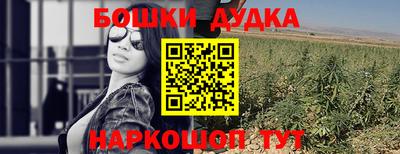 гашик Можга