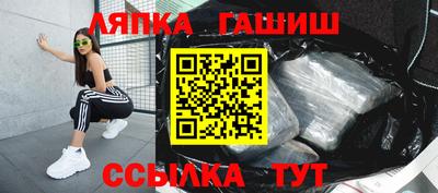 гашик Можга