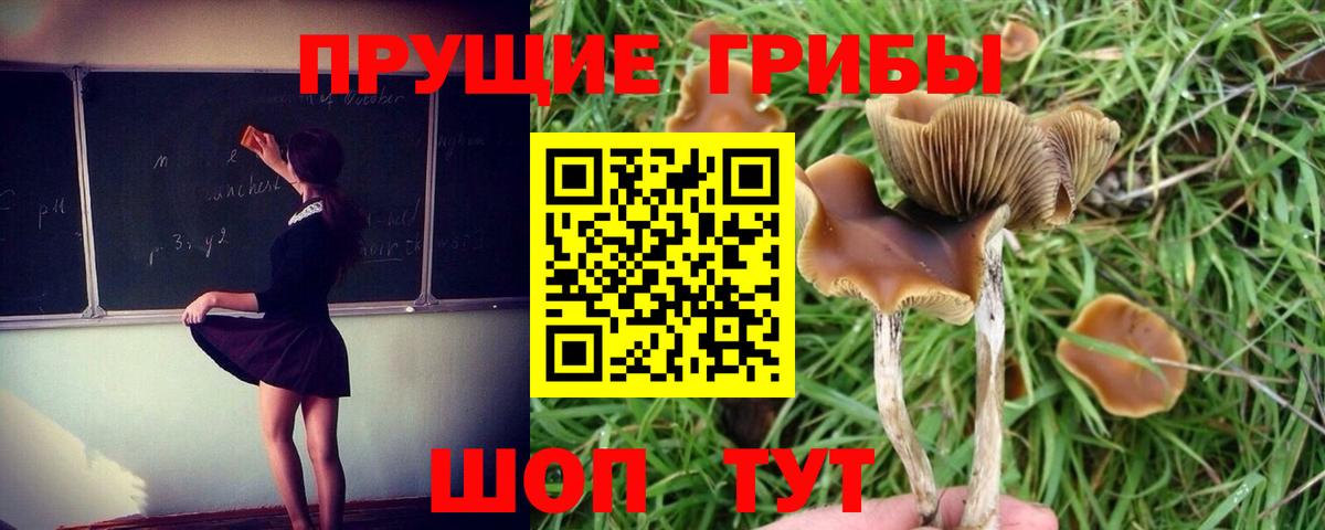 Псилоцибиновые грибы Magic Shrooms Тихвин