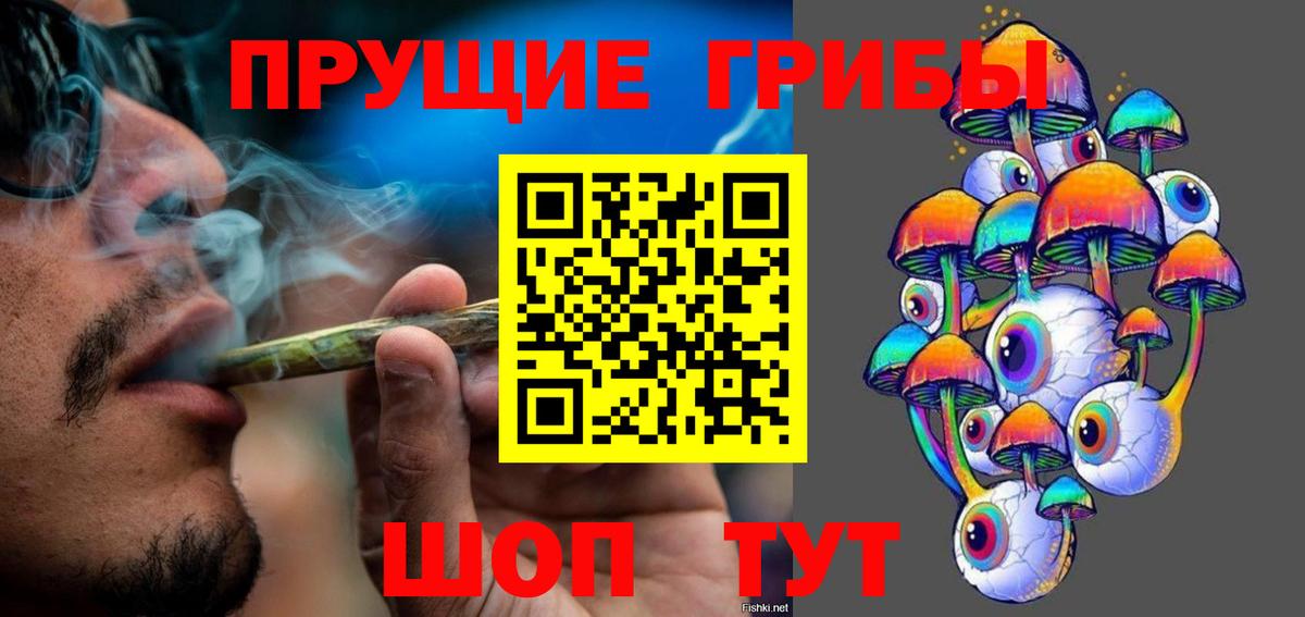 закладка  Галлюциногенные грибы мухоморы  Вход с VPN  Галлюциногенные грибы Magic Shrooms  Тихвин 